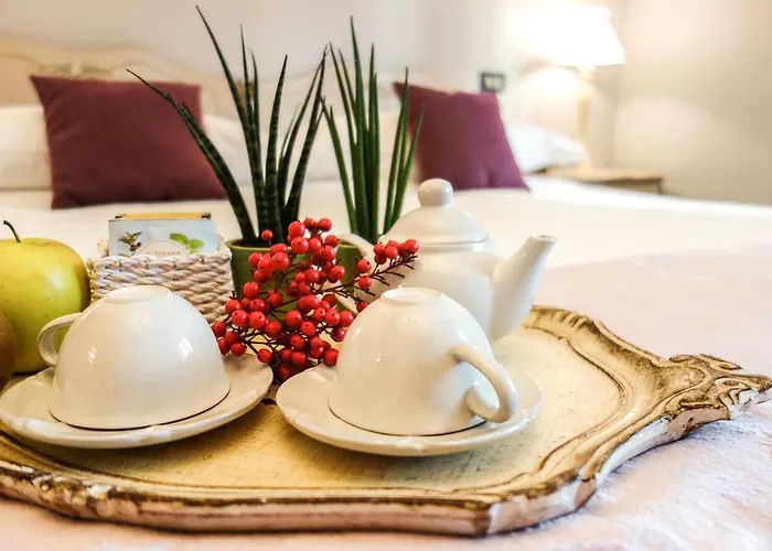 Casa Aloe Oda ve Kahvaltı Monte San Savino