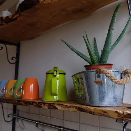 Oda ve Kahvaltı Casa Aloe 4*