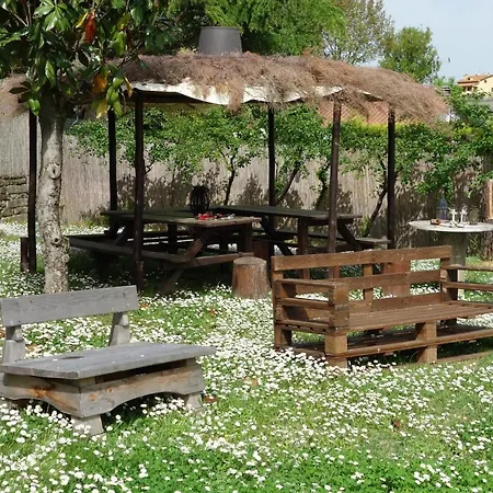Casa Aloe 4*