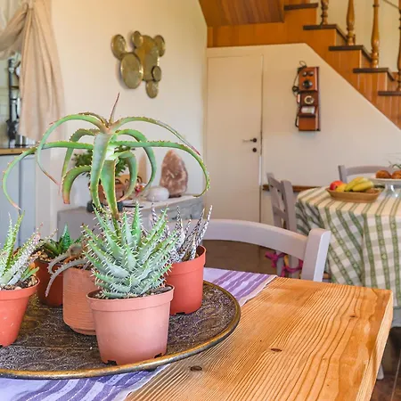 Casa Aloe 4* מונטה סן סאבינו