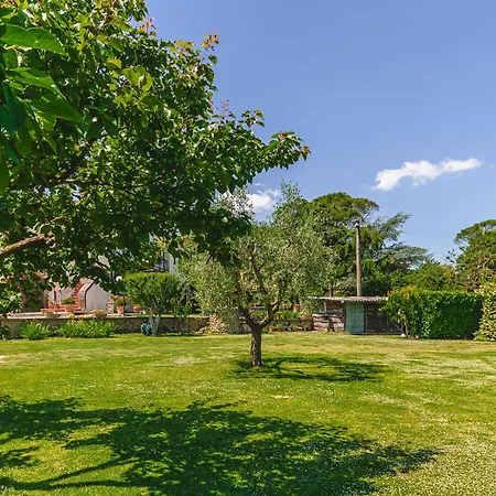 Casa Aloe