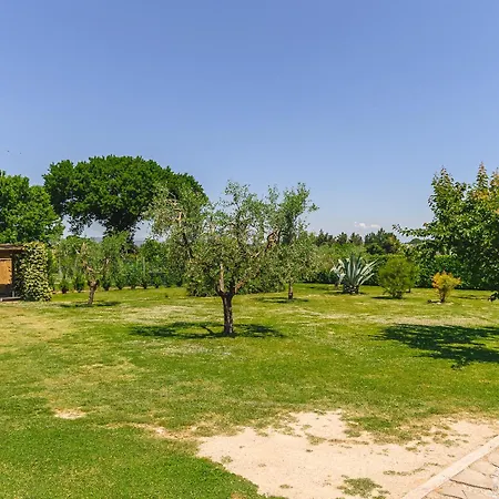 לינה וארוחת בוקר Casa Aloe
