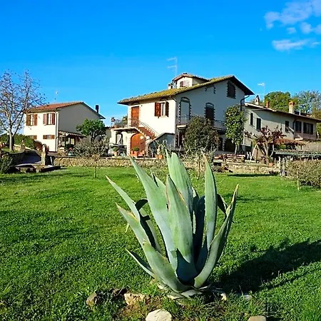 Casa Aloe 3*
