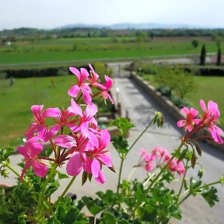 Casa Aloe Bed & Breakfast Monte San Savino