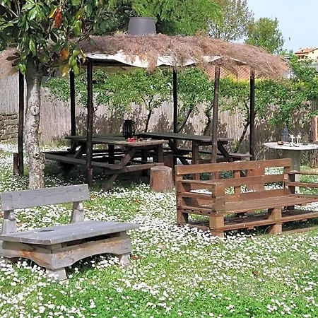 Casa Aloe Monte San Savino