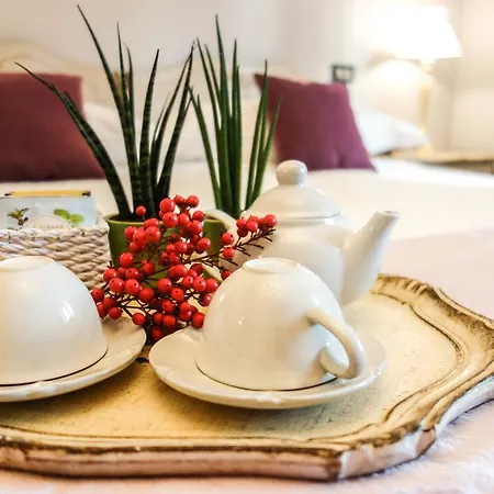 Casa Aloe Bed & Breakfast Monte San Savino