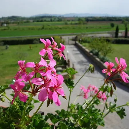 Casa Aloe Bed & Breakfast Monte San Savino